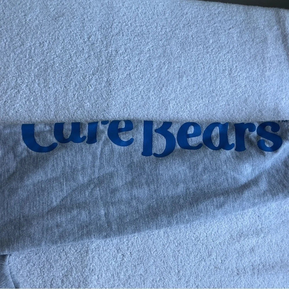 Care Bears Gray Hoodie with Colorful Bears kids